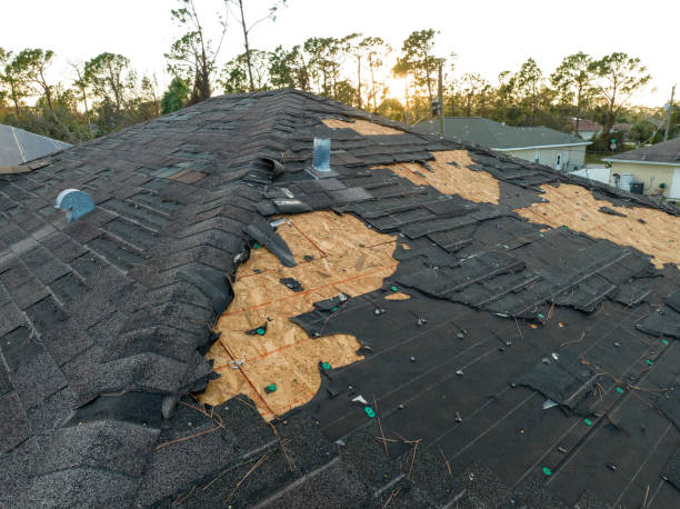 Professional Roofing Services in Loogootee, IN